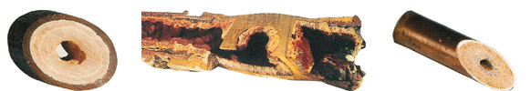 boru